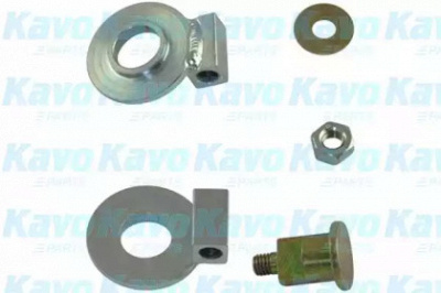 KAVO PARTS dip8004 -  Паразитный / ведущий ролик, поликлиновой ремень